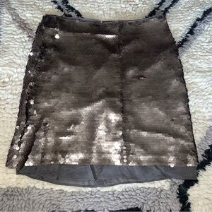 J. Crew Chiffon Lined Sequin Skirt